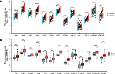 Identification of LSM family members as potential chemoresistance predictive and therapeutic biomarkers for gastric cancer